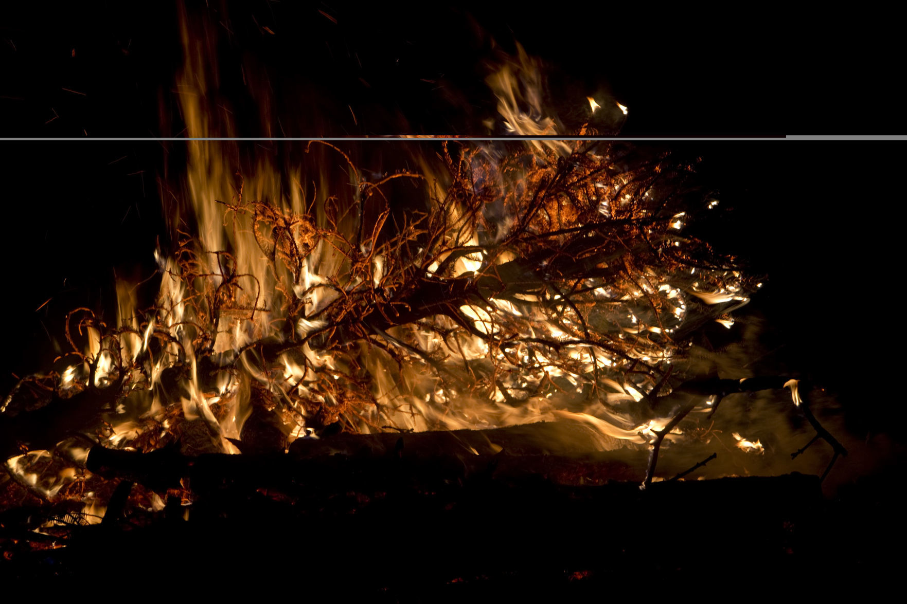 skd treeburning 010620 p02